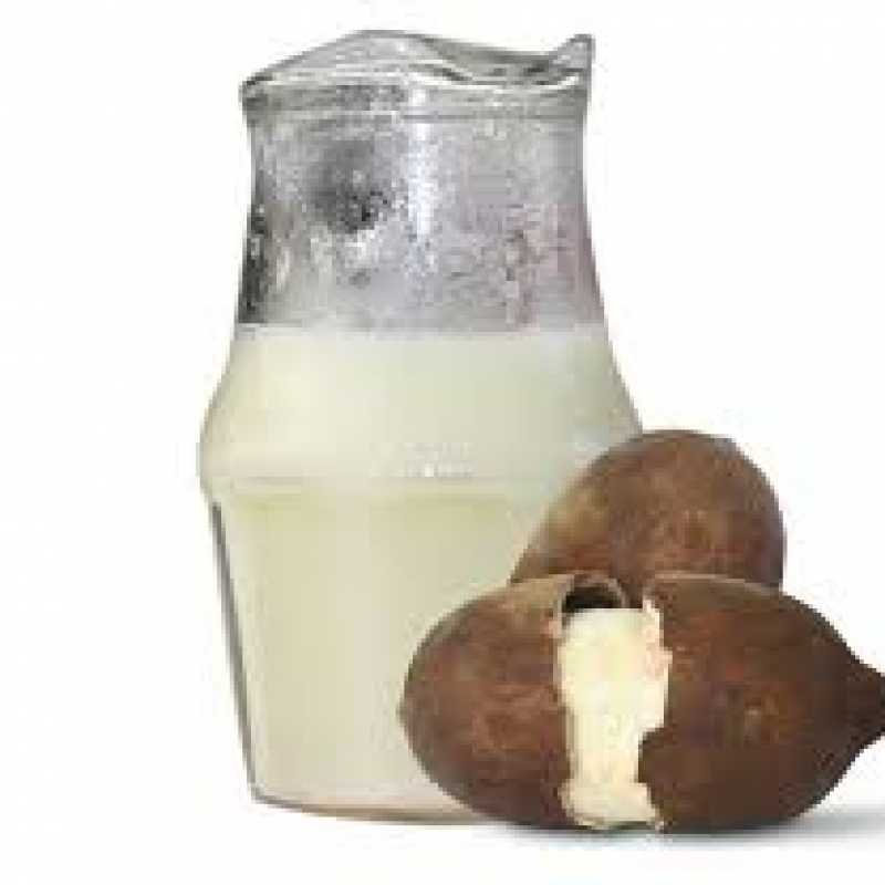 Suco de Cupuaçu 1L